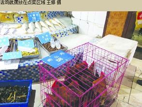 小强横行酒店引发关注 宜必思、阳光佳日等店入黑榜与家禽饲养隐患